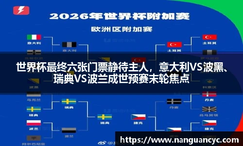 世界杯最终六张门票静待主人，意大利VS波黑、瑞典VS波兰成世预赛末轮焦点